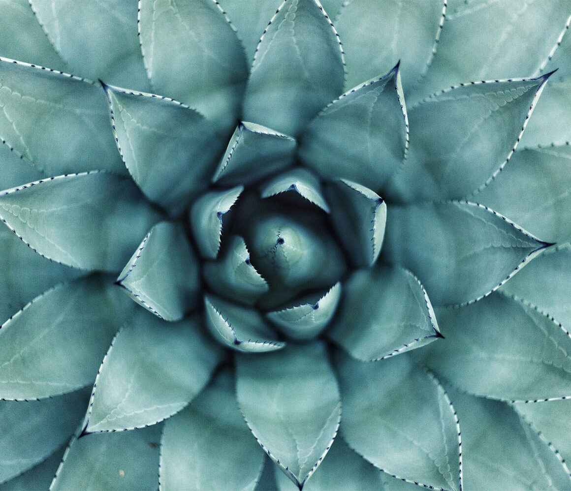 aiyfr0vbadk-erol-ahmed