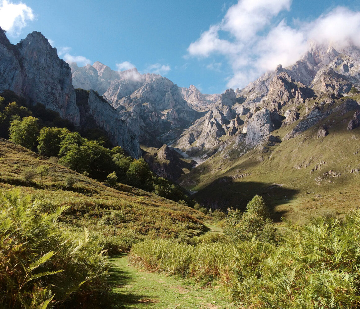 lzx4j_pb3sk-mathew-macquarrie