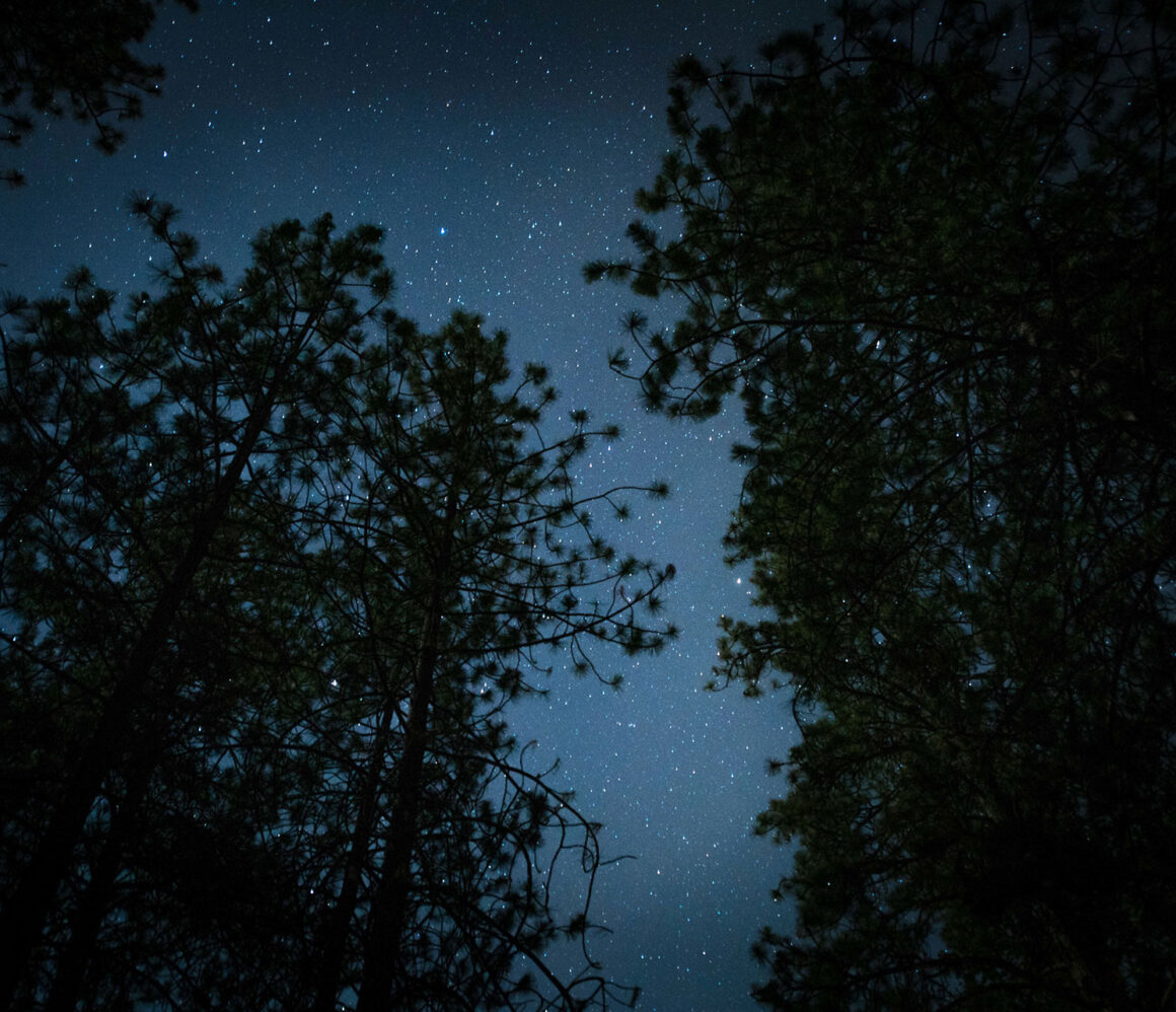 m-ry6mxcbek-irina-blok