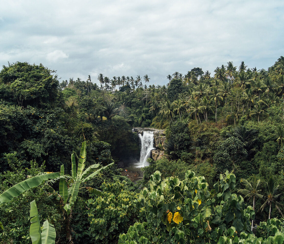 hpeyuy6sruw-levi-morsy