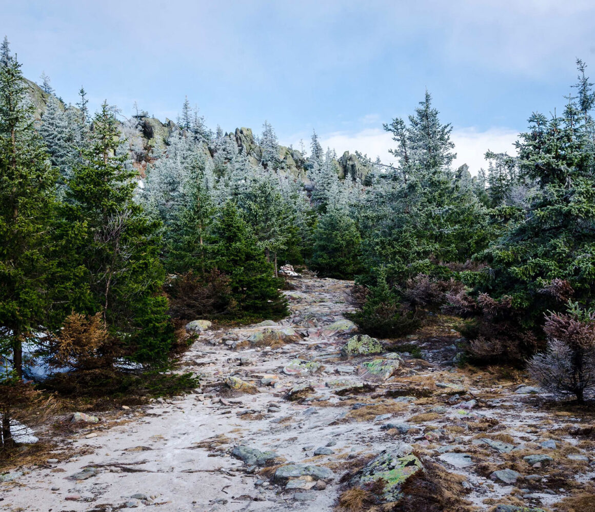 kxtqevwxdt4-daniil-silantev