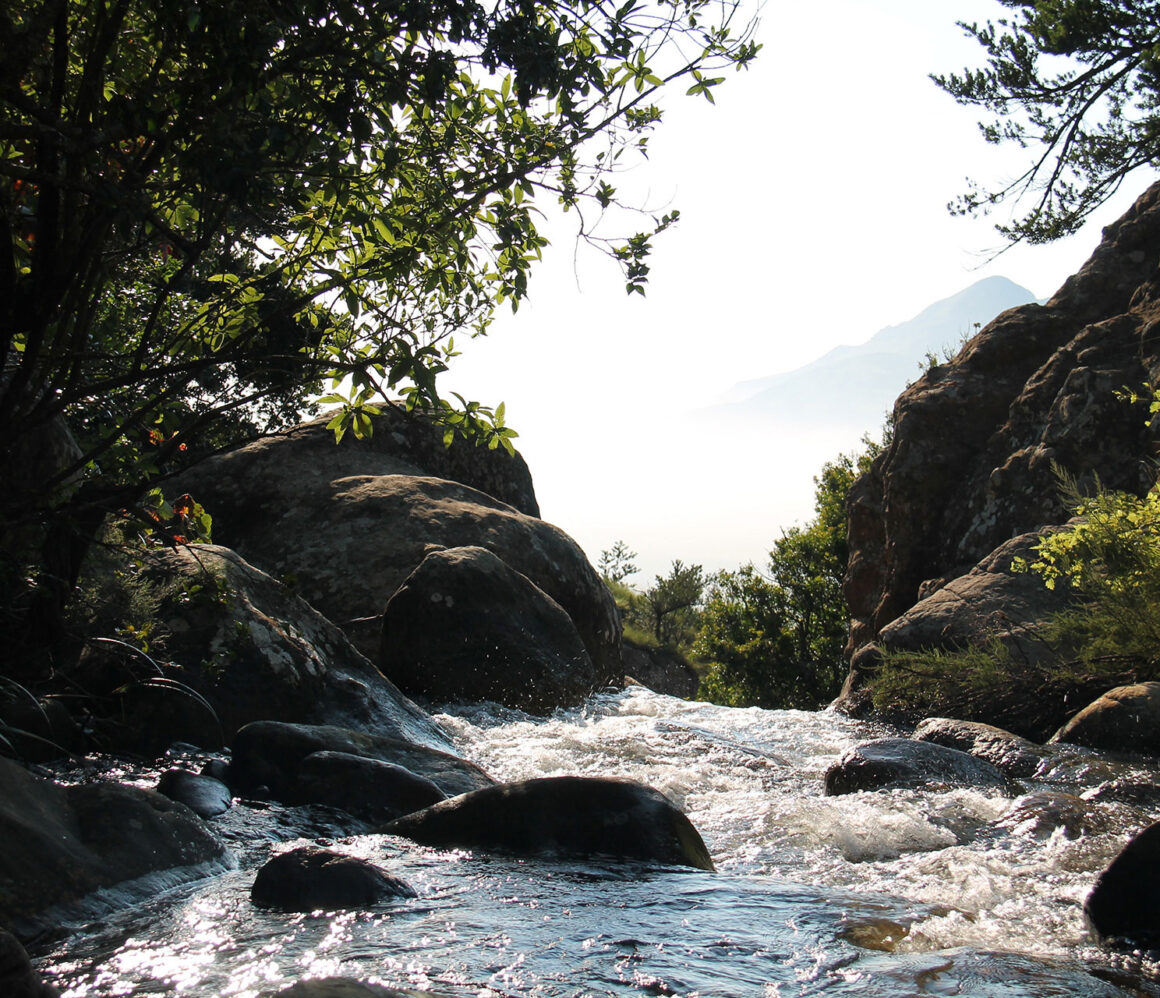 lrsy9fwftl0-phil-houston