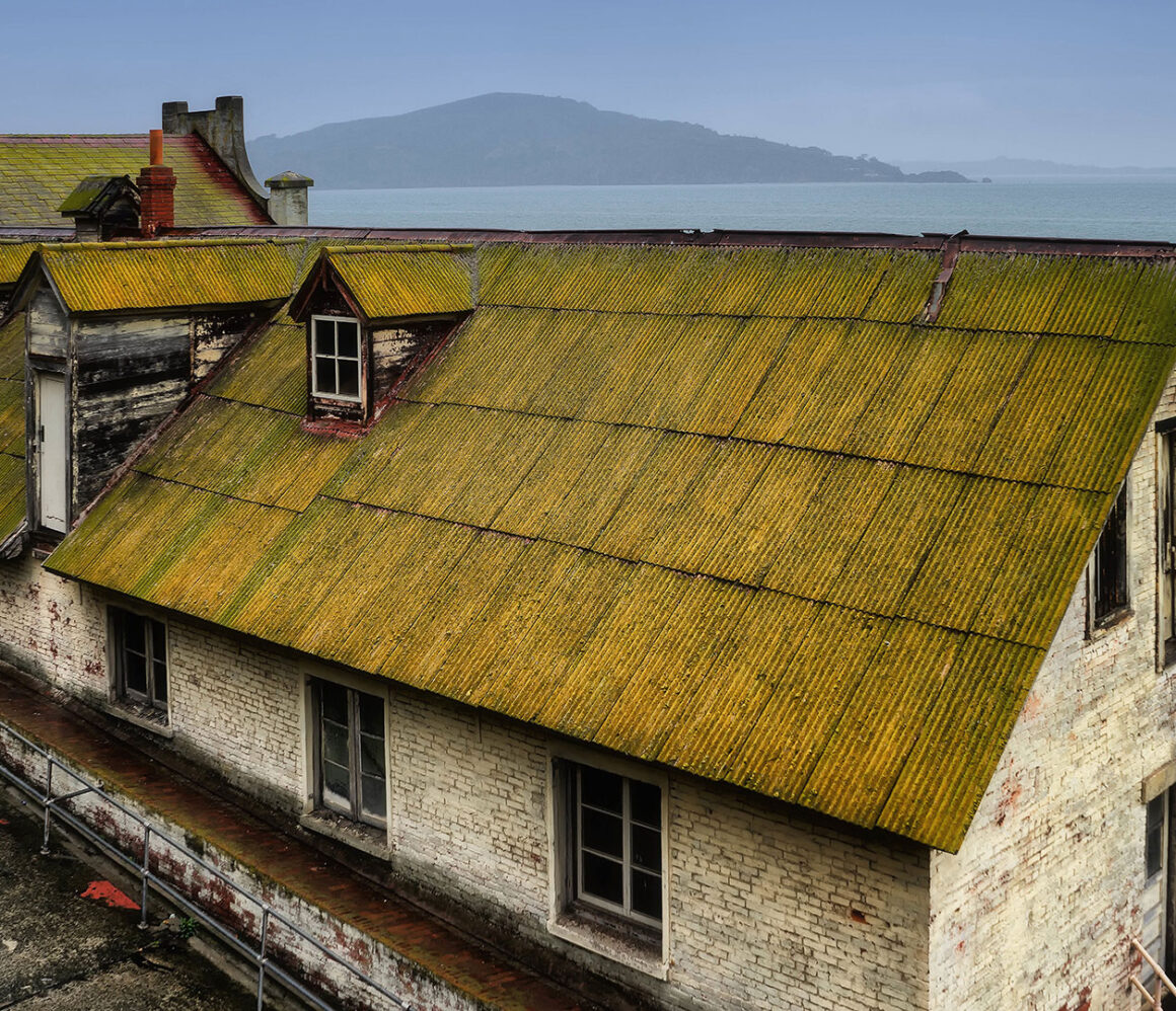 19ntug2hjeq-stefan-steinbauer