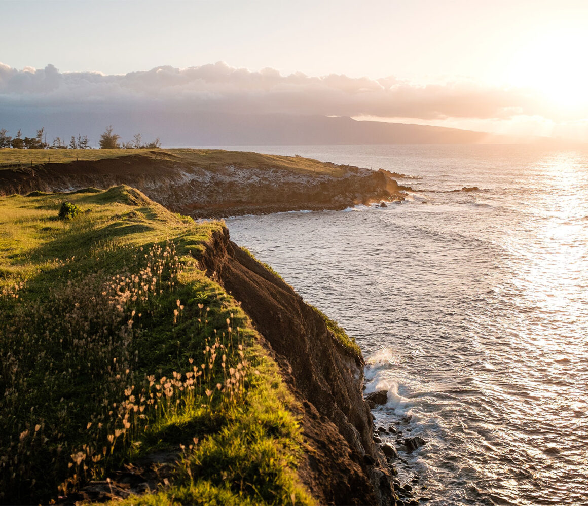 3z70sduys5g-luca-bravo