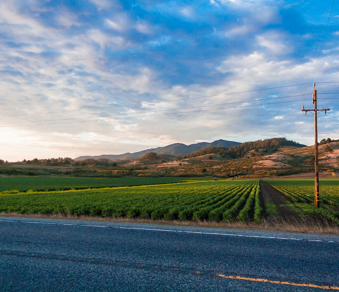 h4zsa61xjes-artur-pokusin