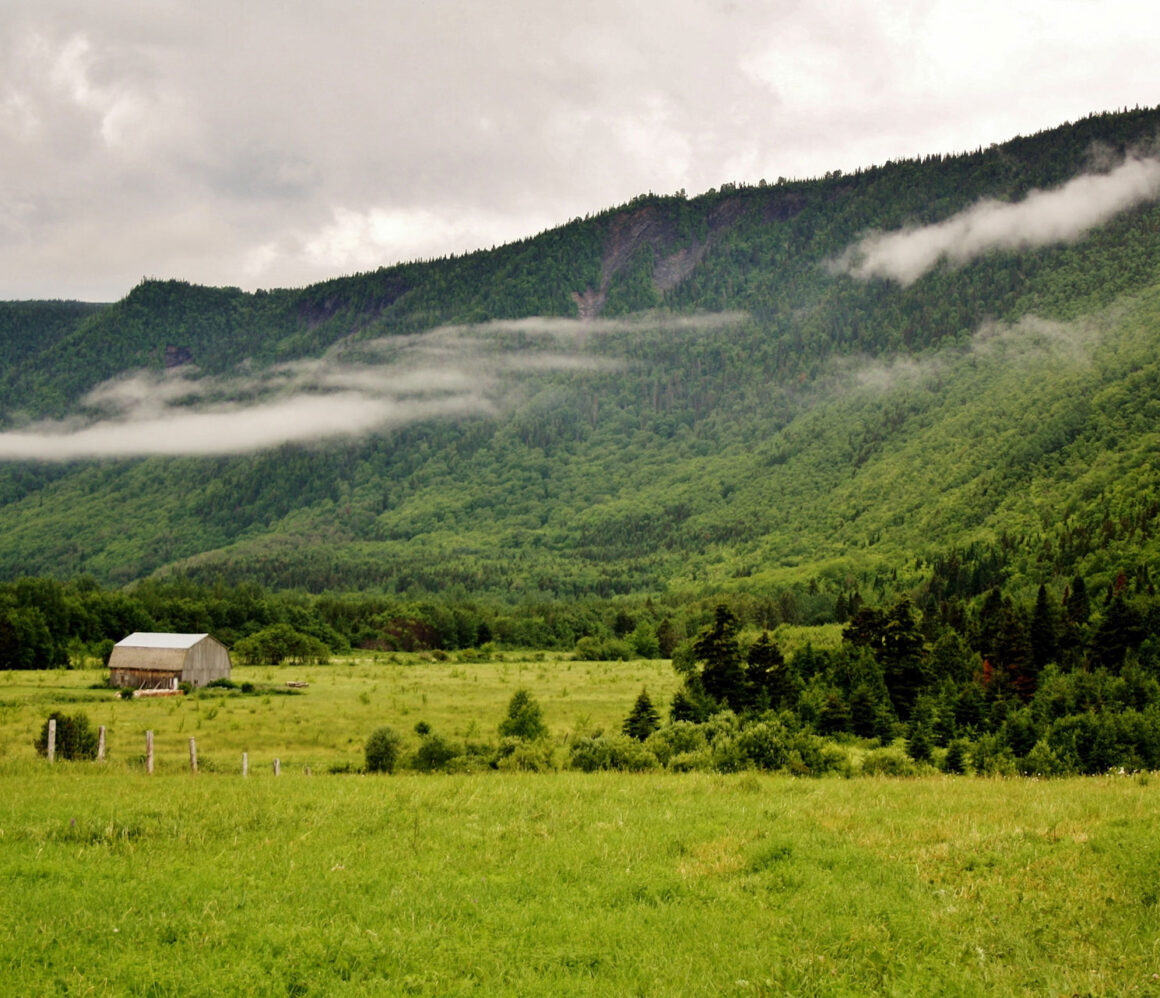 umg6esbsigq-claudia-rancourt