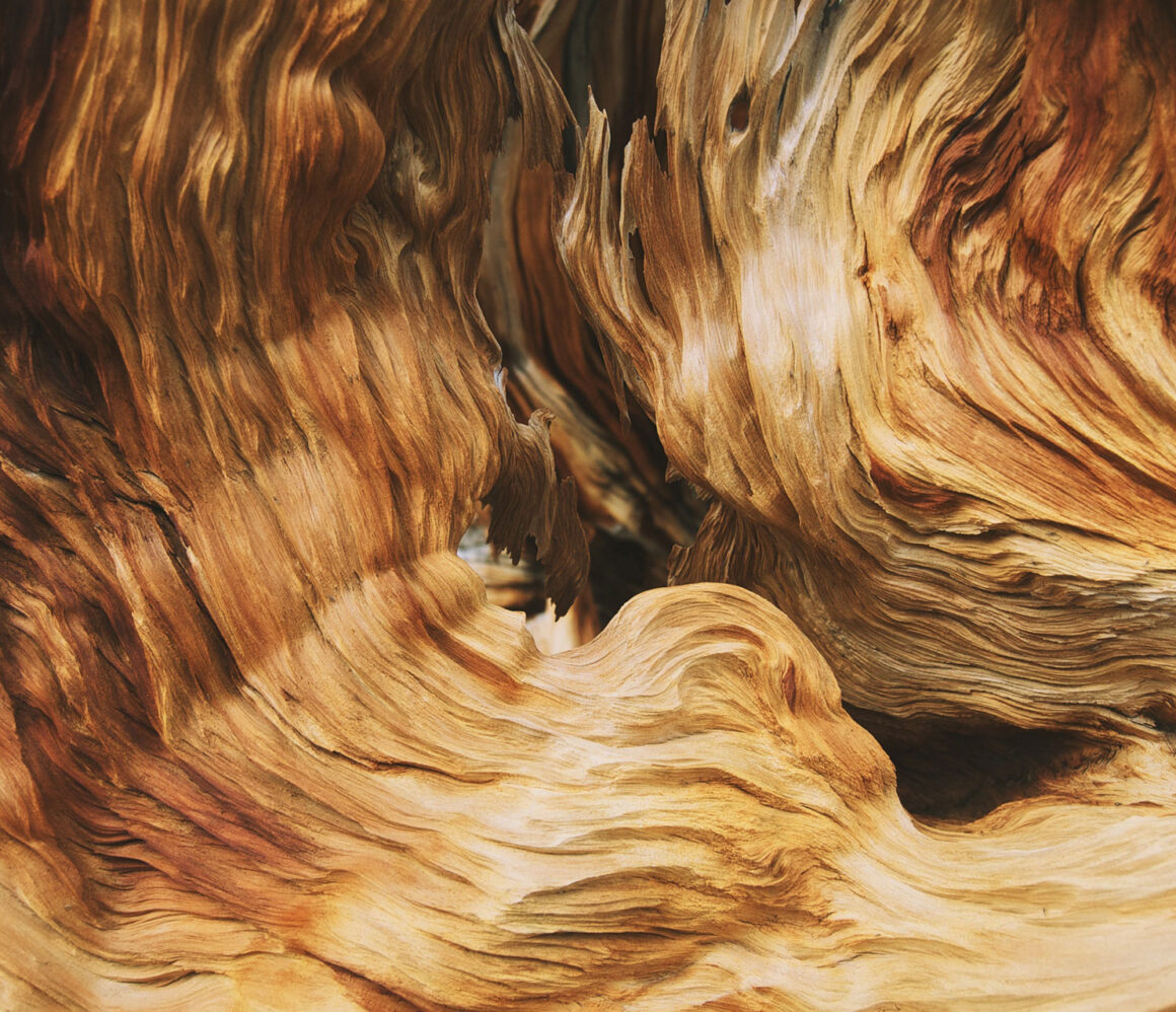 4kgtxwmelyw-andrew-collins