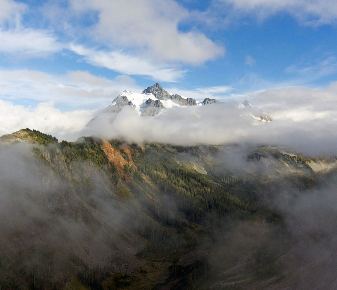 ima2rth8rr4-kamil-szybalski