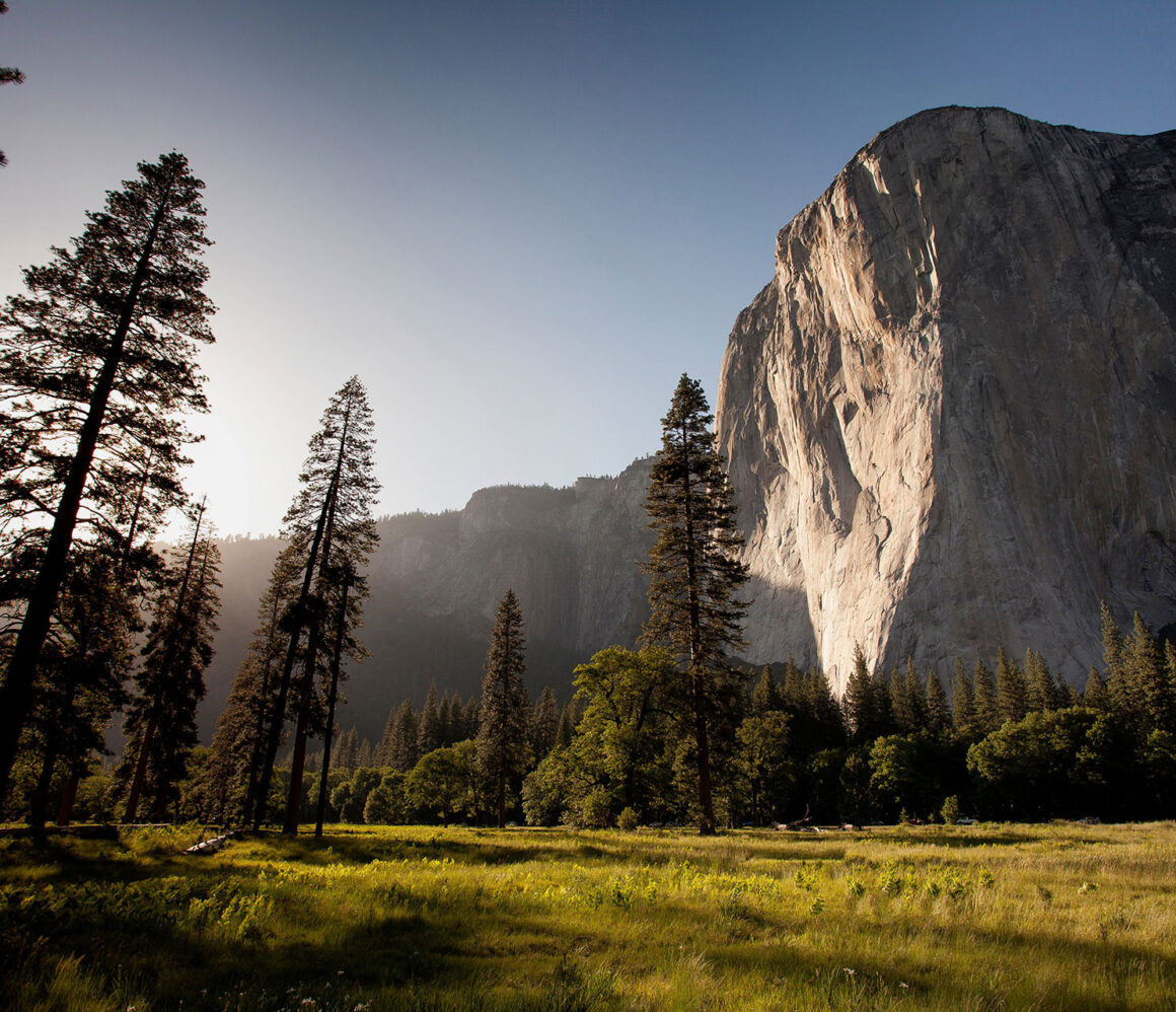 ndn00kmbj1c-adam-kool