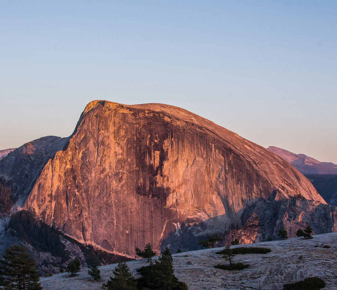 o_uv3khquo8-elle-zhu