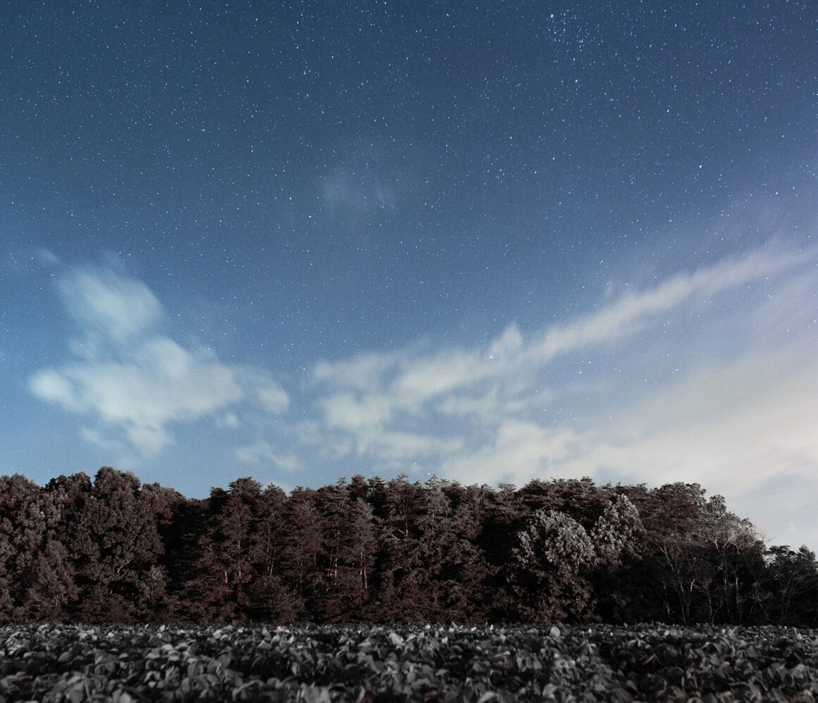 uupnvlltbu8-andrew-neel