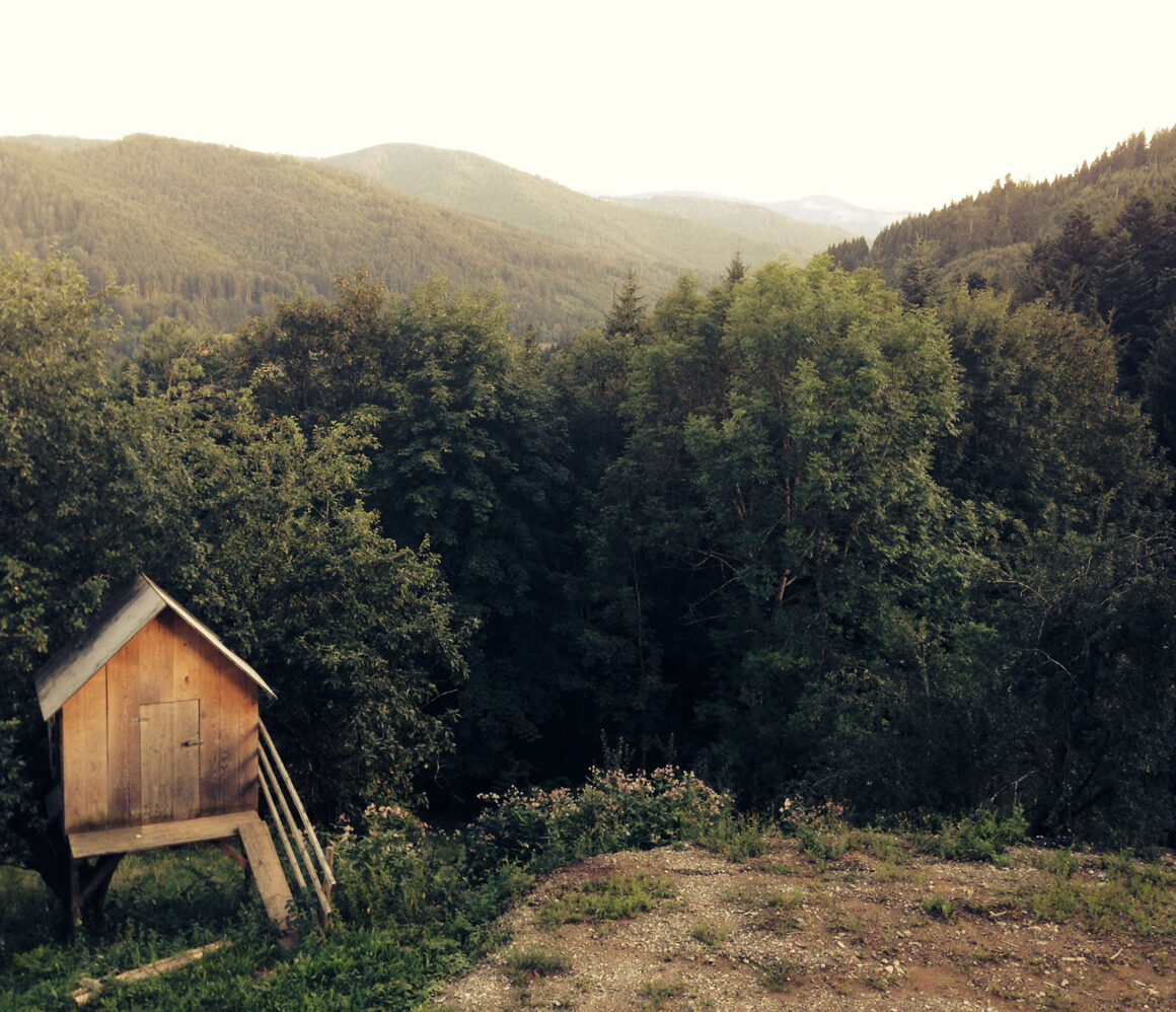 ndqa4d5nl0k-stephy-pariande