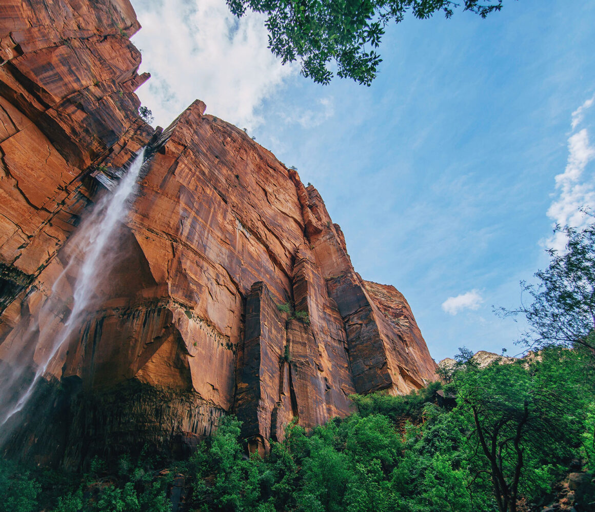 phanr-cpbym-wil-stewart