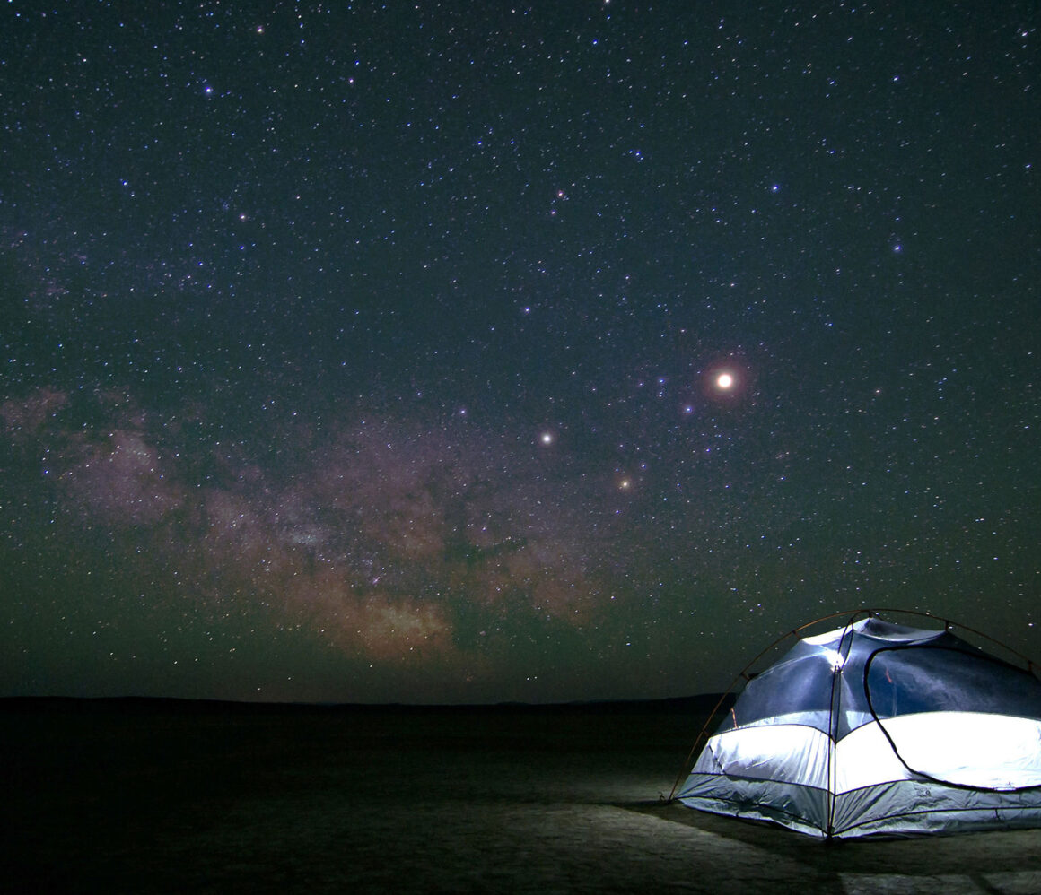 wazehlrp98s-jamison-mcandie