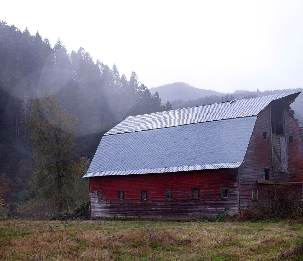 xeslu3w3wqc-tim-mossholder