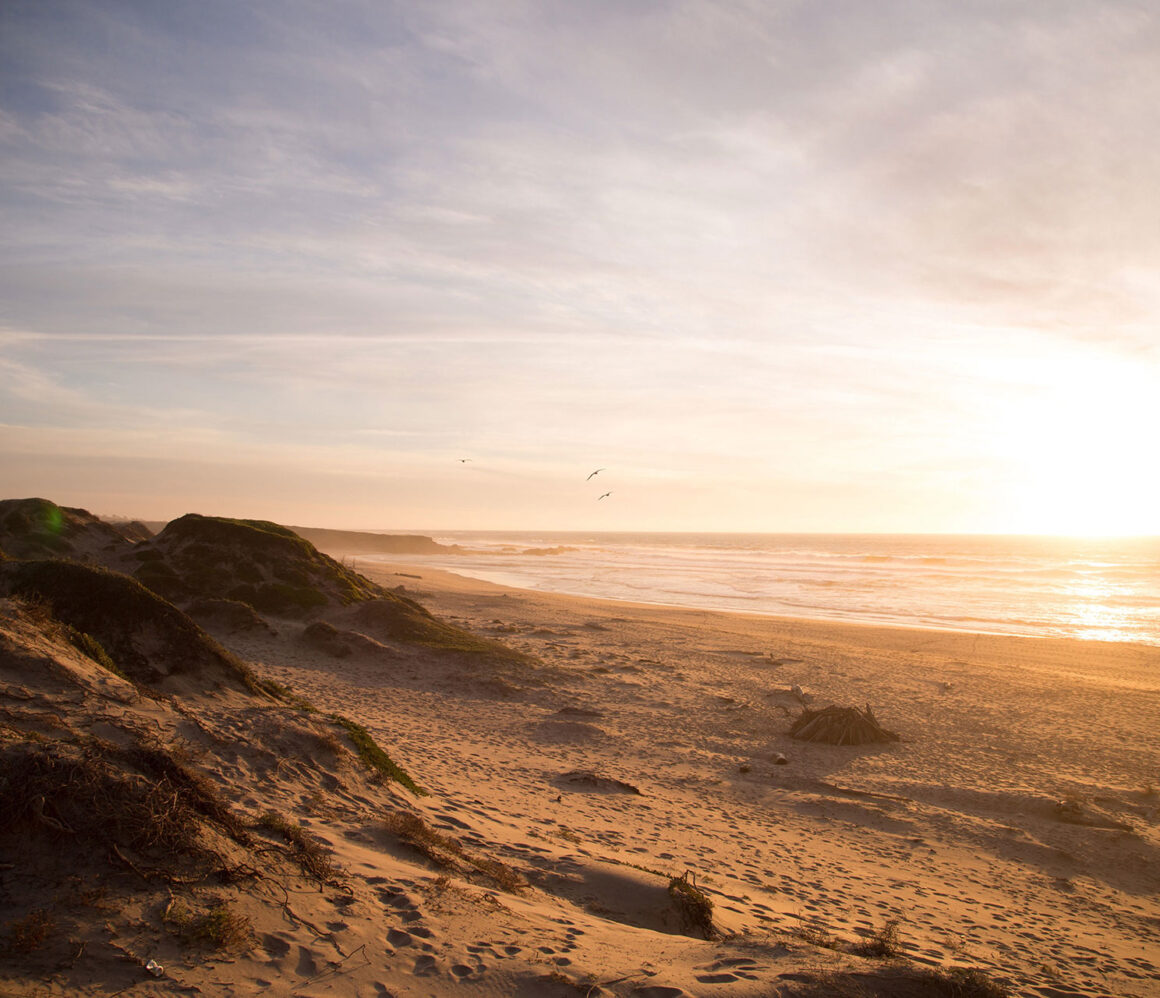 bjbxvz-uyc-jordan-mcqueen