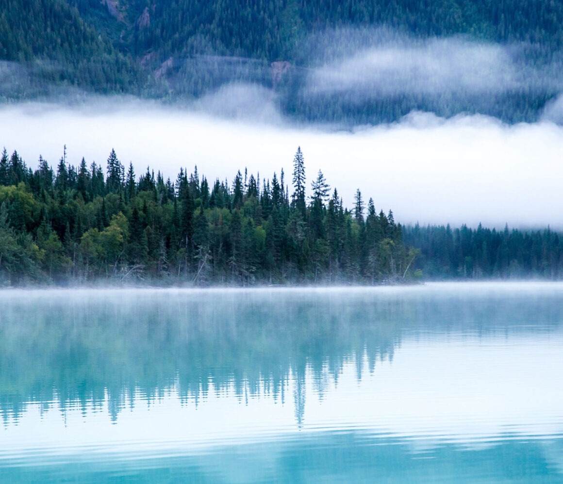 lulijc1cdo-kalen-emsley