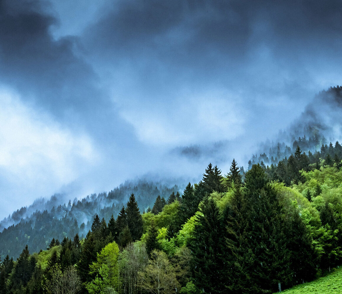 lvdnluaci18-guy-bowden