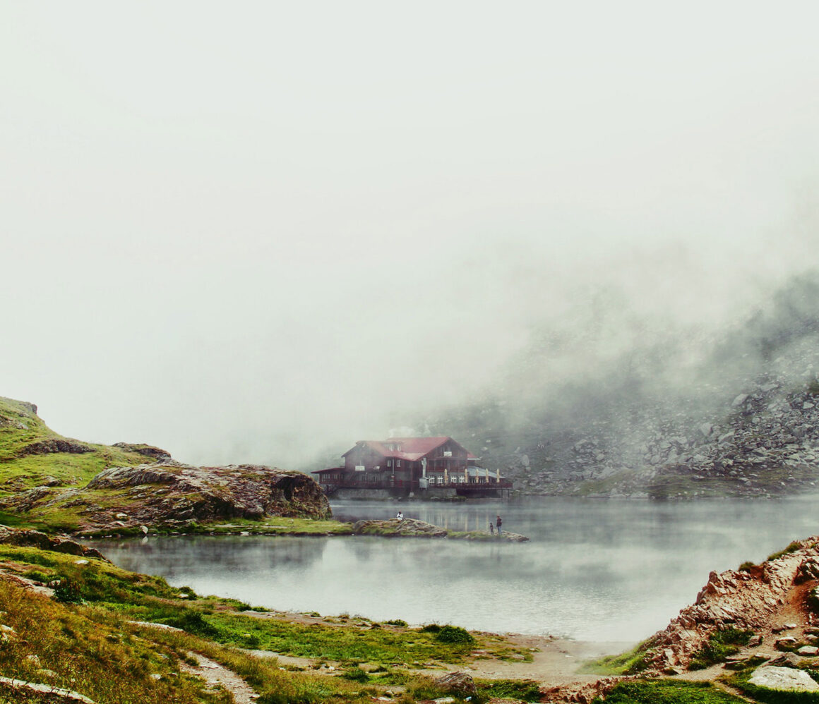 pig9ye_ohri-darius-soodmand