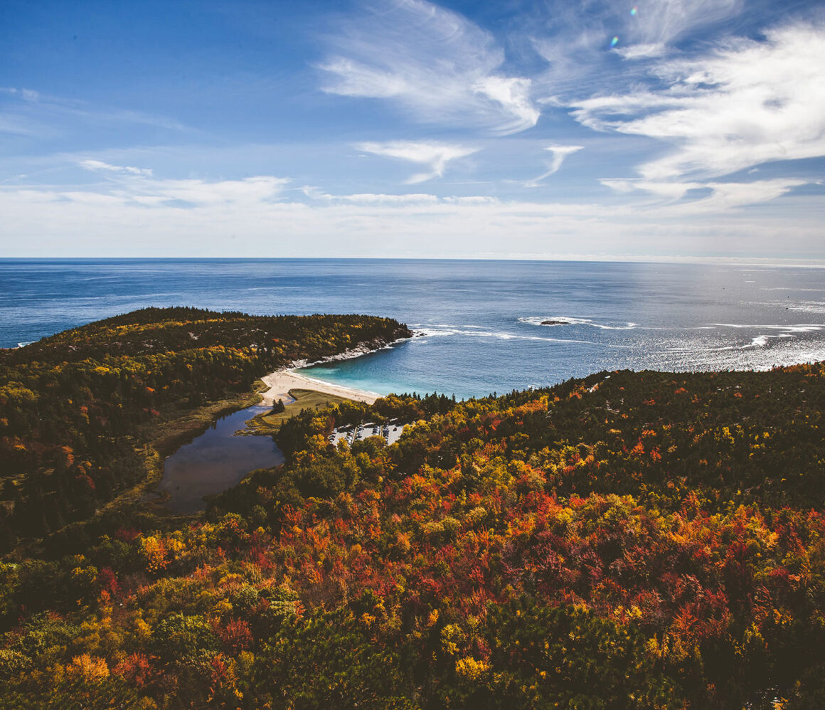 qkedbiowt8e-kortni-williams