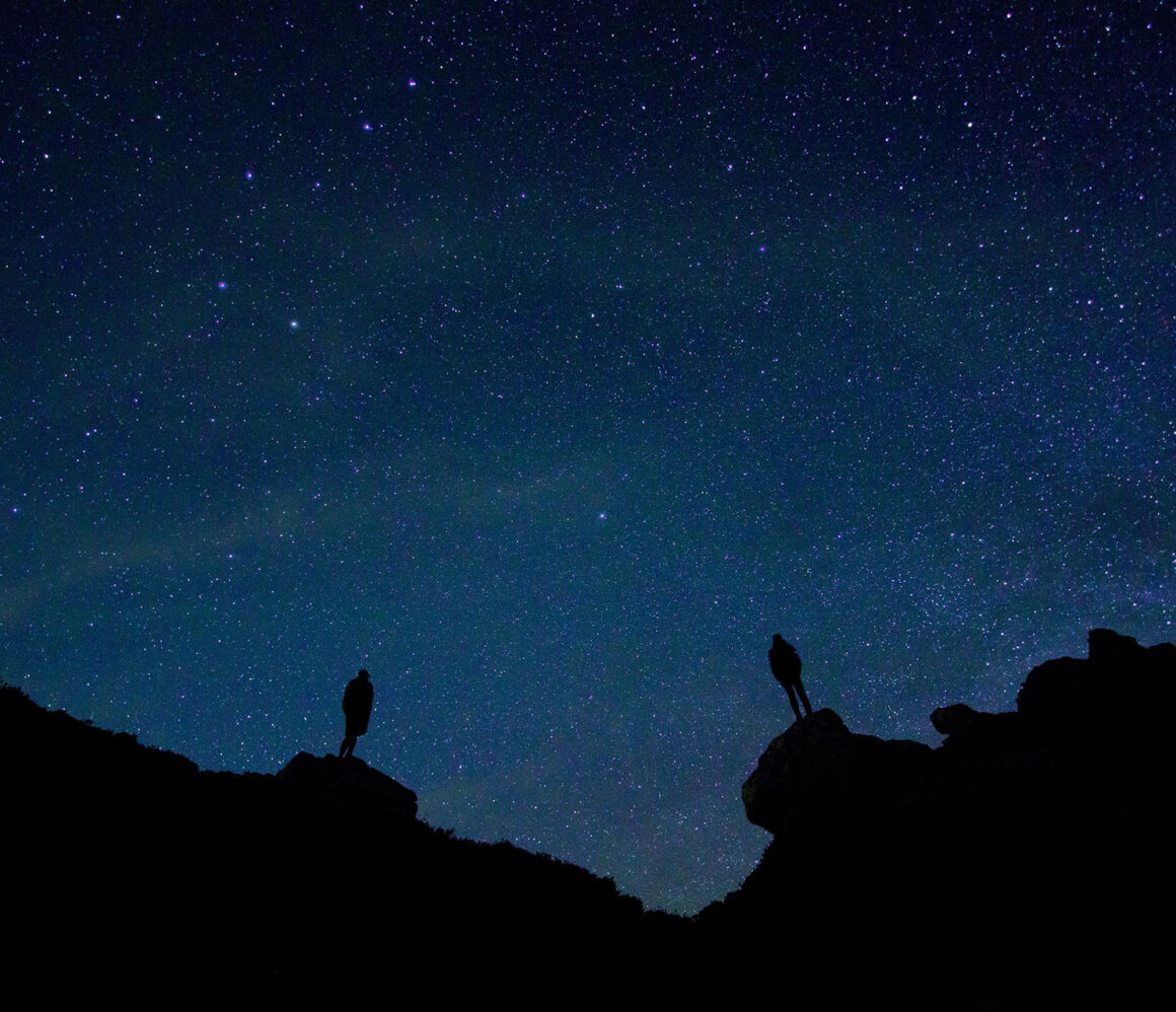 qyftkpfqzv4-wil-stewart