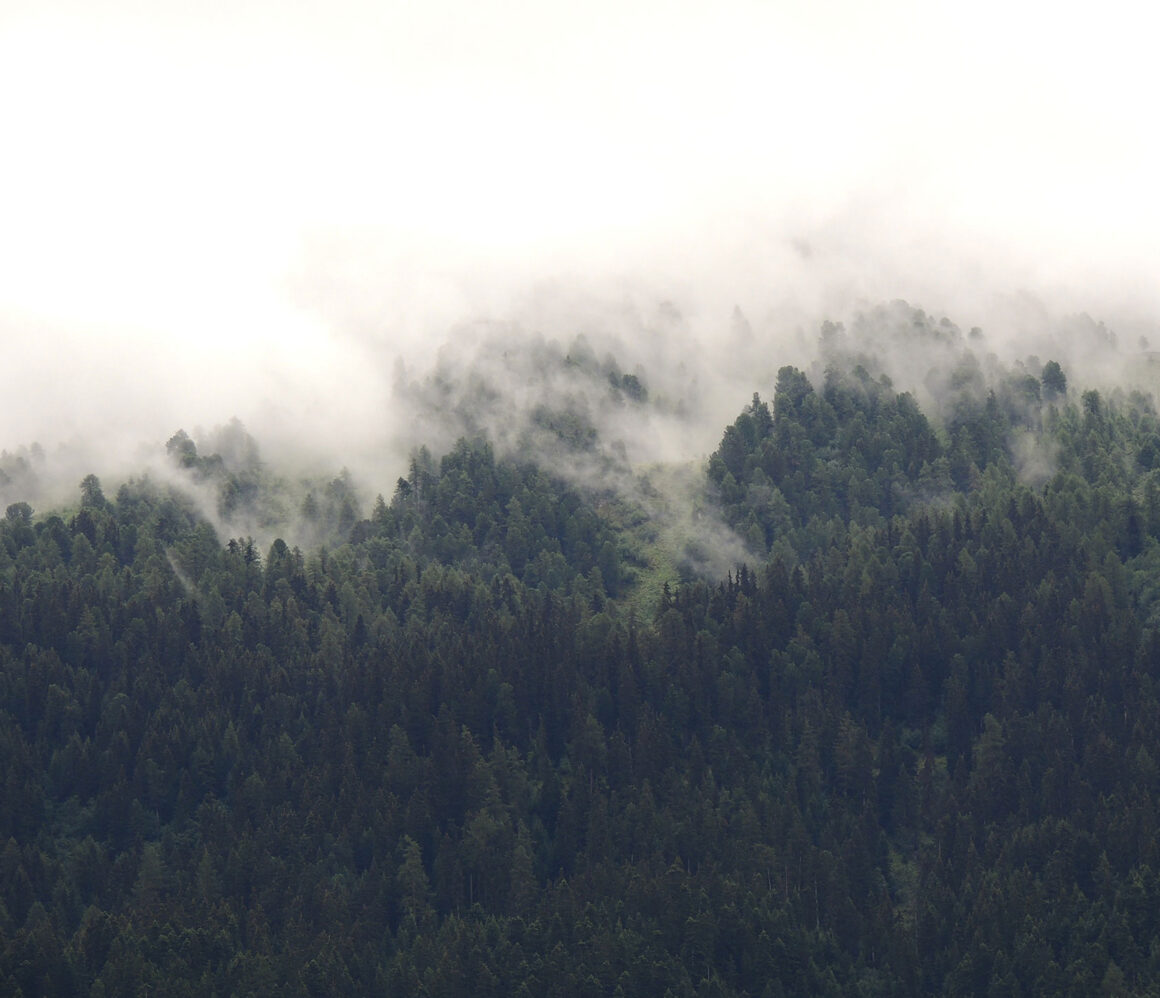 ra6vbivis2y-thomas-tixtaaz