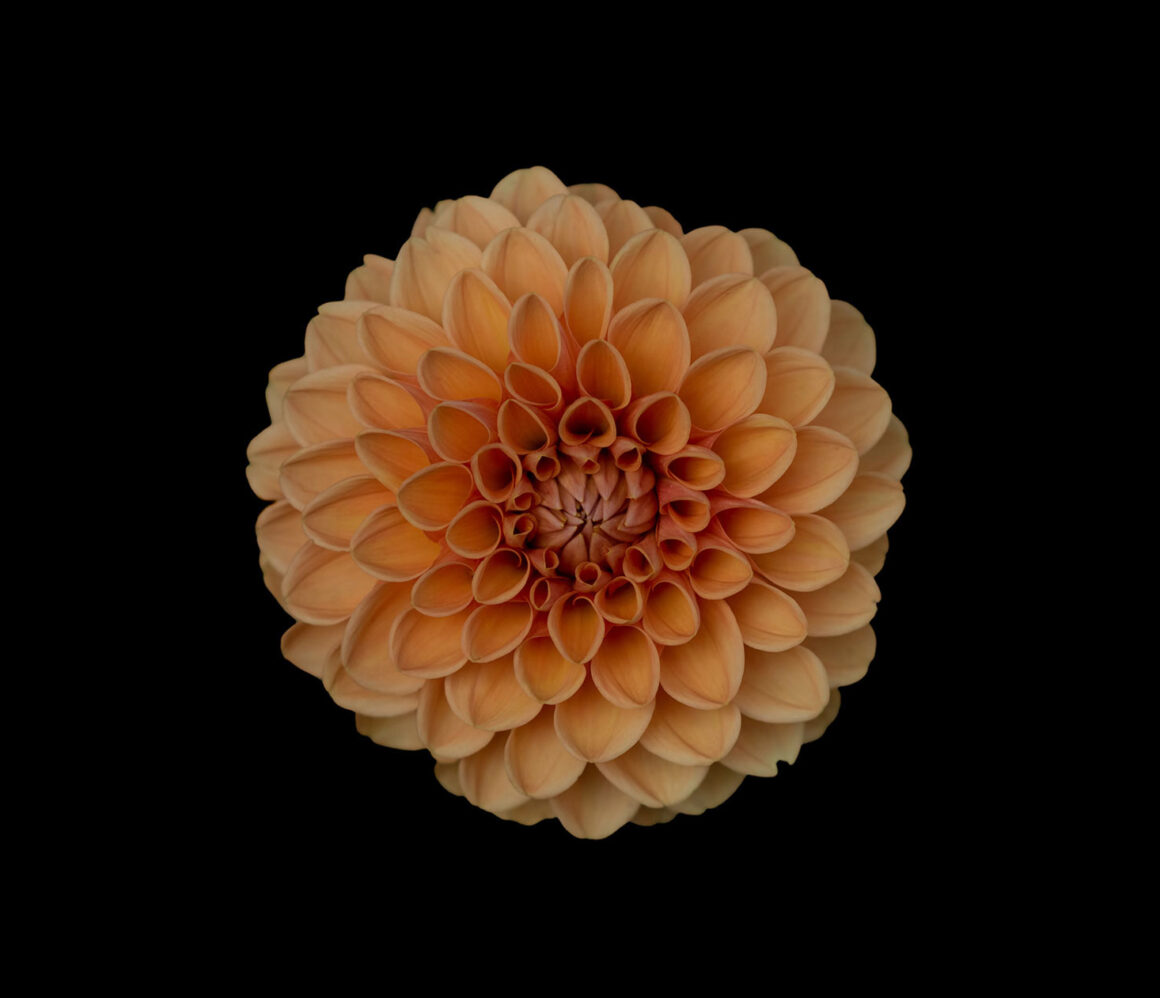 xk_igfdkhmy-alex-blajan