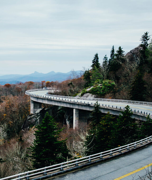 ashley-knedler-43546