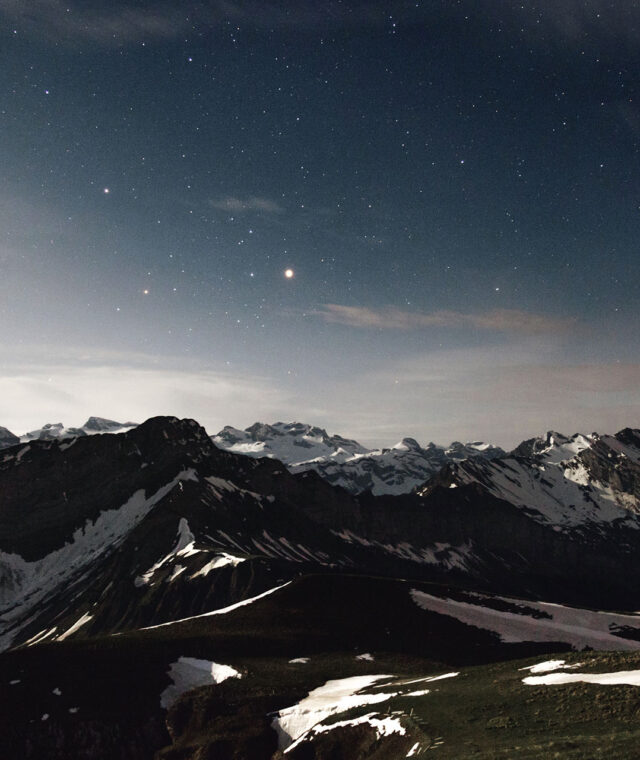 dino-reichmuth-98982