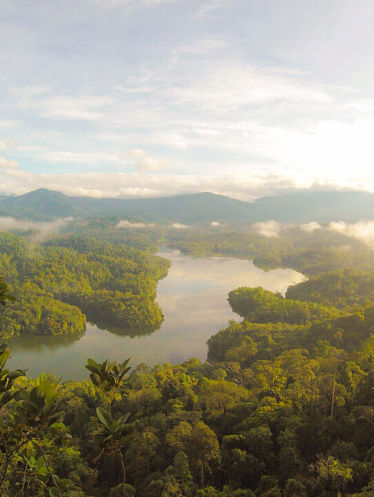 eutah-mizushima-34207