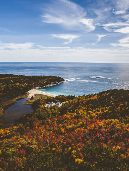 kortni-williams-154320