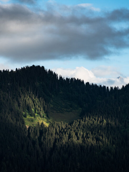 olivier-miche-100752