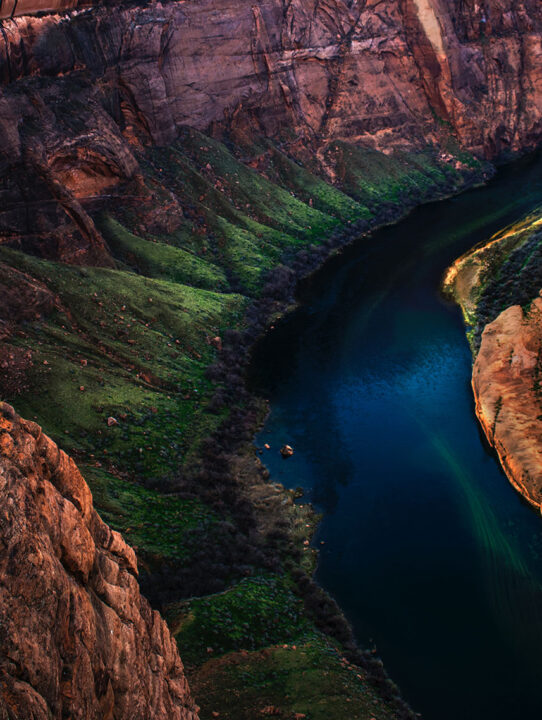 peter-forster-218032